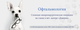Ветеринарный центр «Доверие» в Иркутске фотография
